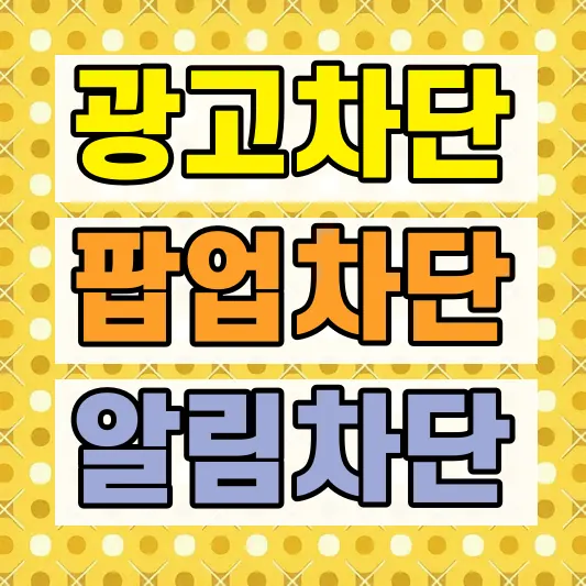 AI 개인정보 보호 크롬 확장프로그램